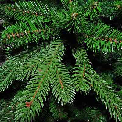 Искусственная сосна Triumph Tree Forest Frosted зеленая с инеем 3,05 м (8711473151534) Винница