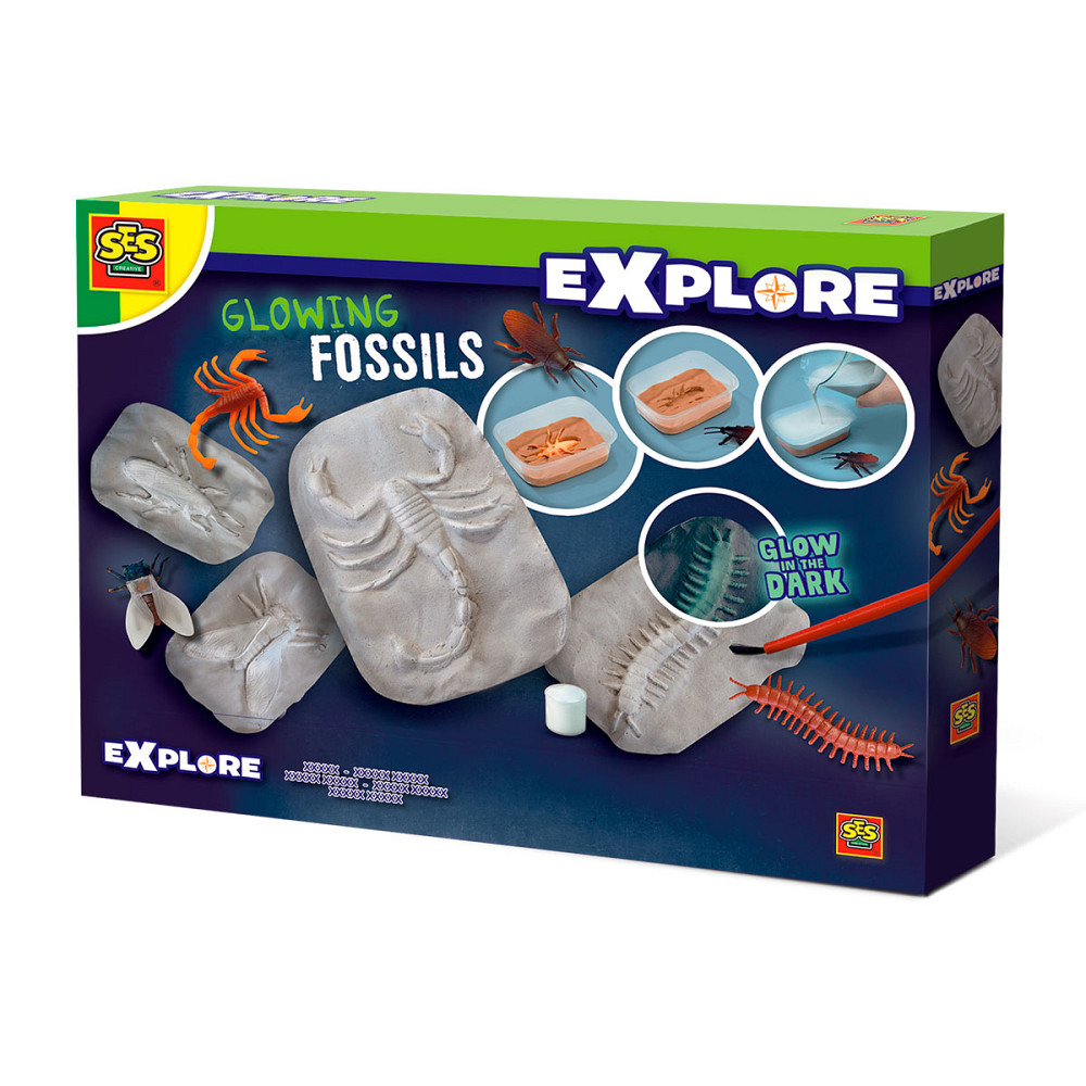 Набір серії Дослідник - Скам'янілості комах, що світяться Днепр - изображение 1