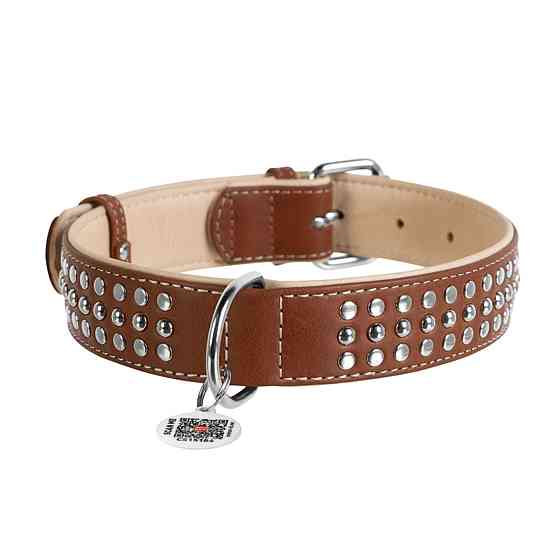Нашийник для собак шкіряний WAUDOG Soft з QR паспортом, металічні прикраси, Ш 35 мм, Дов 46-60 см коричневий Київ