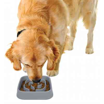 Посуд для собак Dexas Силіконова квадратна миска Slow Maze Feeder для повільного годування 1.44 л світло-сіра (0084297309930) Вінниця