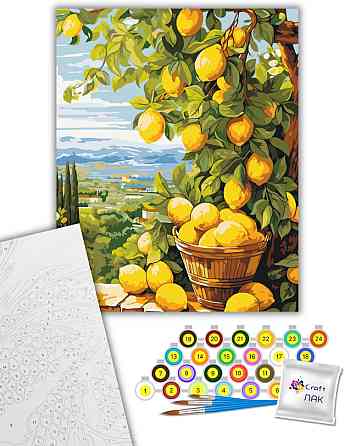 Картина за номерами "Лимонна гілка" 12039-AC 40х50 см Вінниця