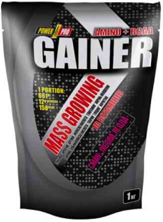 Гейнер для набора веса Power Pro Gainer 1000 гр лесная ягода Киев