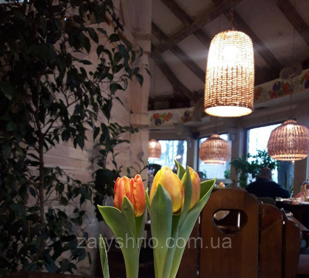 Люстры в кафе | люстра из лозы разной формы  /плетеная люстра большая Киев - изображение 2