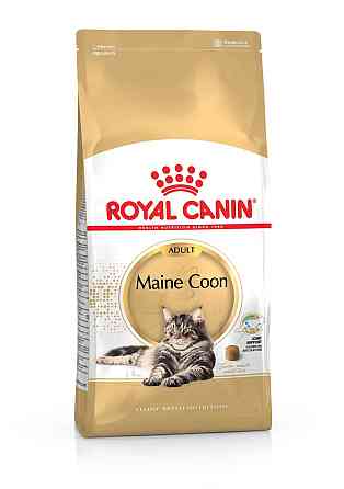 Royal Canin Maine Coon Adult (Рояв Канін Мейн Кун Едалт) сухий корм для котів мейн-кун від 15 місяців 10 кг. Запоріжжя