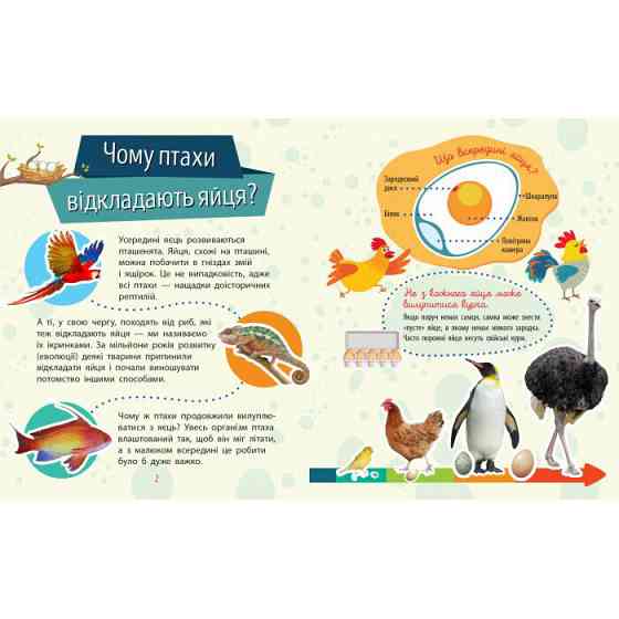 Обучающая книжка Почемучки 