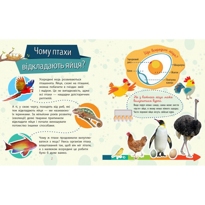 Обучающая книжка Почемучки 