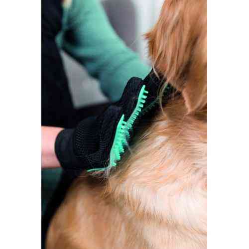 Рукавичка Trixie для вичісування шерсті, 16х24 см Київ