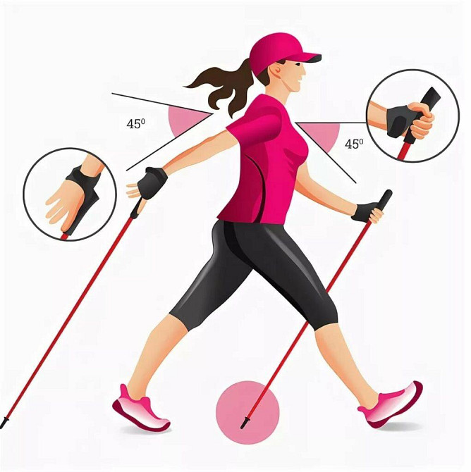 Треккинговые палки для скандинавской ходьбы 2 шт. Feel Fit MS 2019-1-GR Серый Бровары - изображение 7