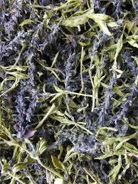 Живучка повзуча (Живучка ползучая)100г master sem Киев - изображение 3