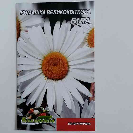 Семена цветочные Ромашка 