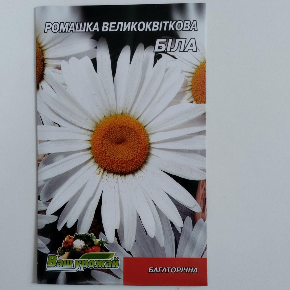 Семена цветочные Ромашка 