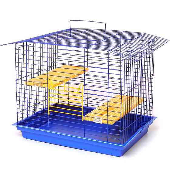 Клітка Шиншила-60 оцинкована для гризунів з аксесуарами (56.5 х 40 х 47 см), Лорі Київ