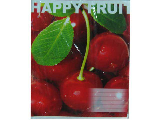 Зошит учнівський з малюнком на обкладинці 48листів карта (10 шт.) Харків - фото 1