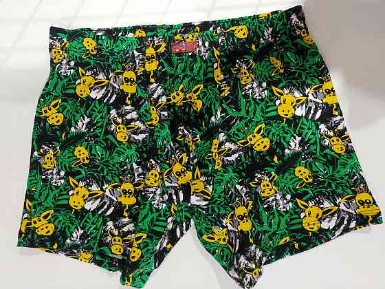 Трусы мужские Шорты Lans 06/040 Киев