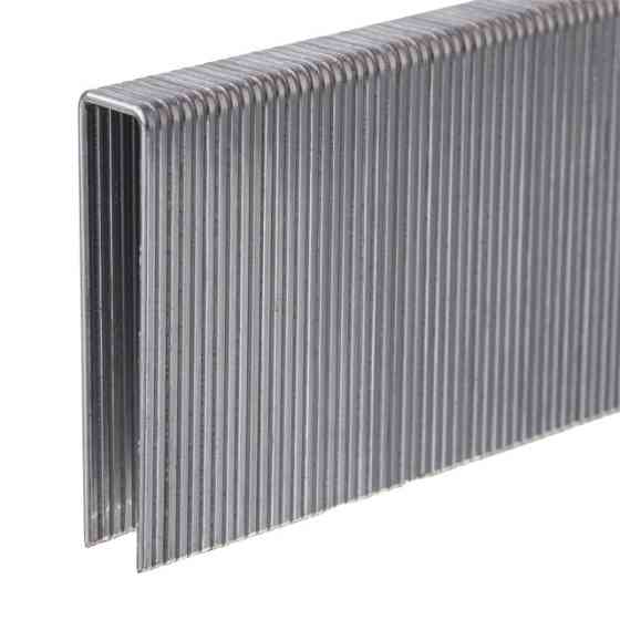 Скоба для степлера PT-1615 50 мм, 10,8×1,40×1,60 мм, 10000 шт/упак INTERTOOL PT-8250 Київ