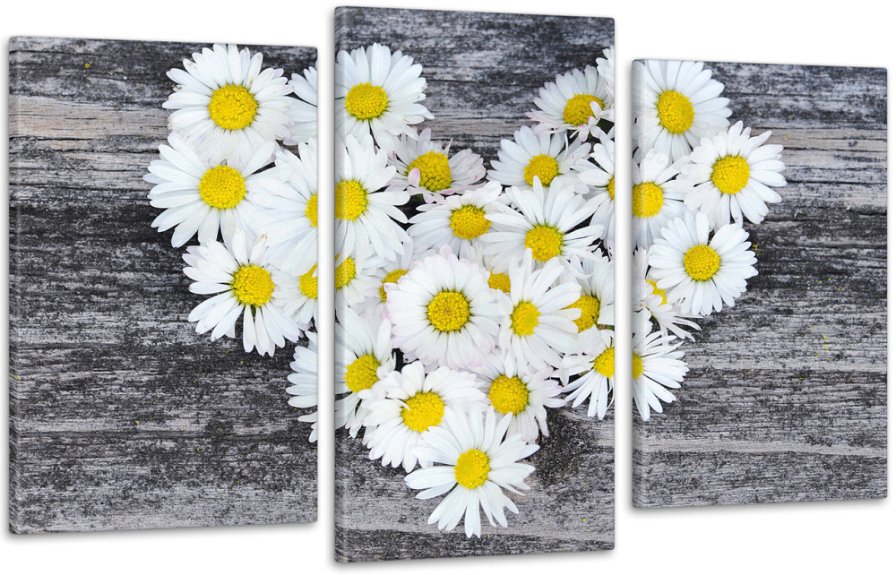 Модульна картина Ромашки Серце Art-72_3 Київ - фото 1