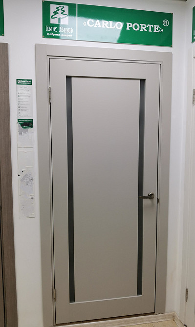 Двері екокошпон, Полотно, серія Millenium (ML-62) Світло-сірий Київ - фото 4