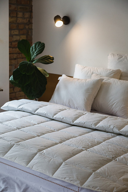 Ecotton Ковдра Ecotton Ecofill Premium 200х210 см Євро антиалергенна з біопухом біла в чохлі дл Киев - изображение 1