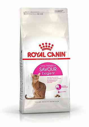 Сухий корм Royal Canin Exigent Savour для вибагливих котів до смаку раціонуна від 1 до 7 років на вагу 1 кг Вінниця