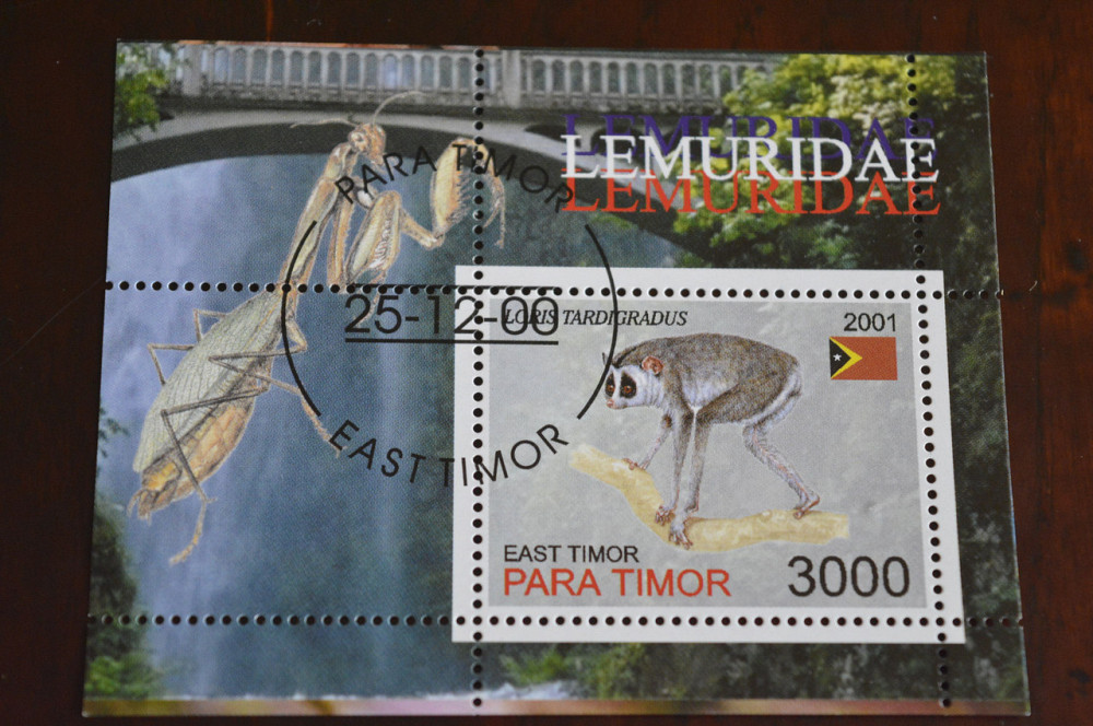 Тимор. Фауна. 2001 год Полтава - изображение 1