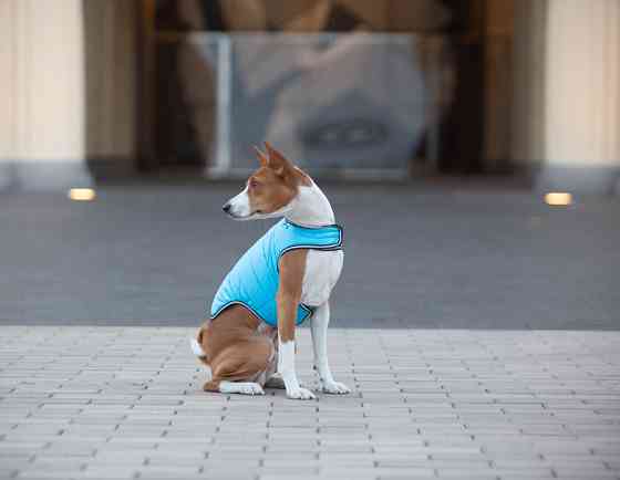 Курточка-накидка для собак AiryVest, S, B 41-51 см, С 25-35 см блакитний Коломия