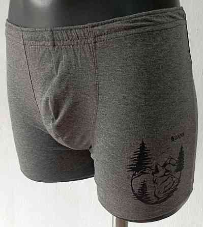 Трусы мужские шорты Lans 06/026 Волк, XL Киев