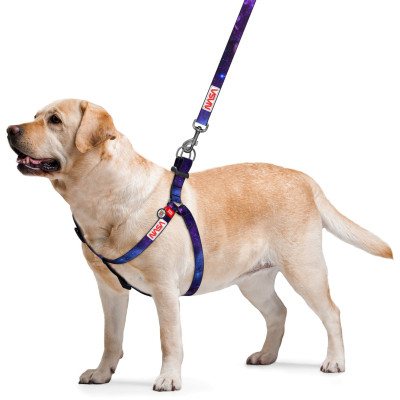Шлей для собак WAUDOG Nylon с QR-паспортом "NASA21" M (4801-0148) Винница - изображение 2