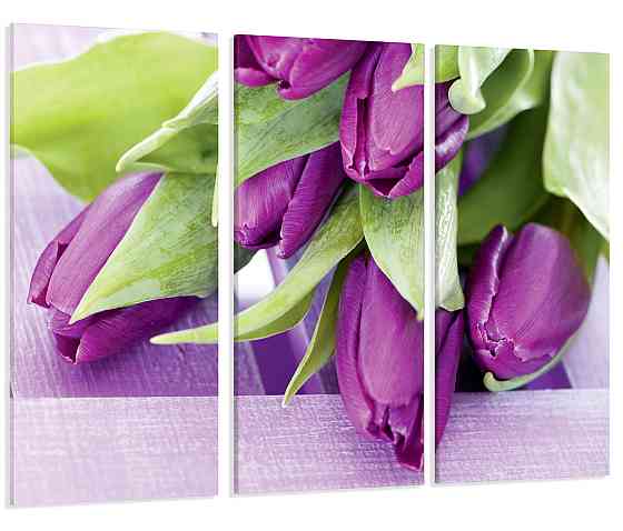 Модульна картина Квіти Тюльпани Art-7_XXL Київ