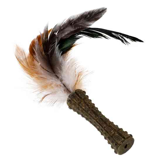 Іграшка для котів Спресована котяча м'ята з пером GiGwi Johnny stick, перо, котяча м'ята, 8 см Коломыя