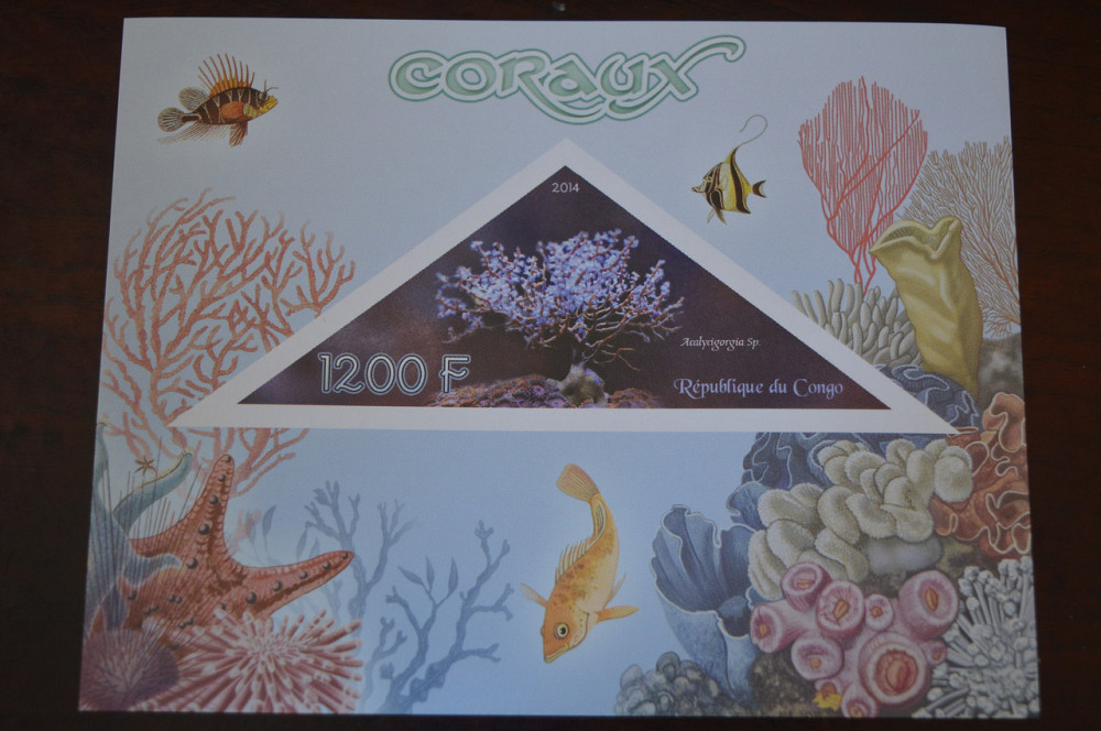 Конго. Фауна. Личности. Блок. 2014 р. (А-34) Полтава - фото 1