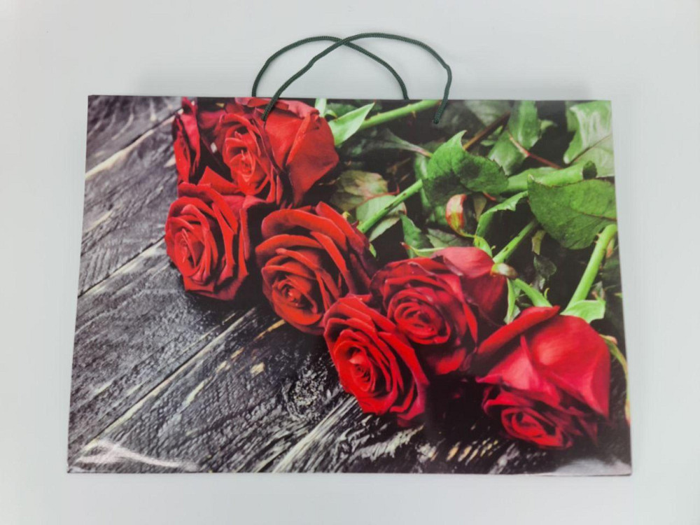 Паперовий пакет горизонтальний гігант 46*33*15 (артGG-069) (12 шт.) Харків - фото 3