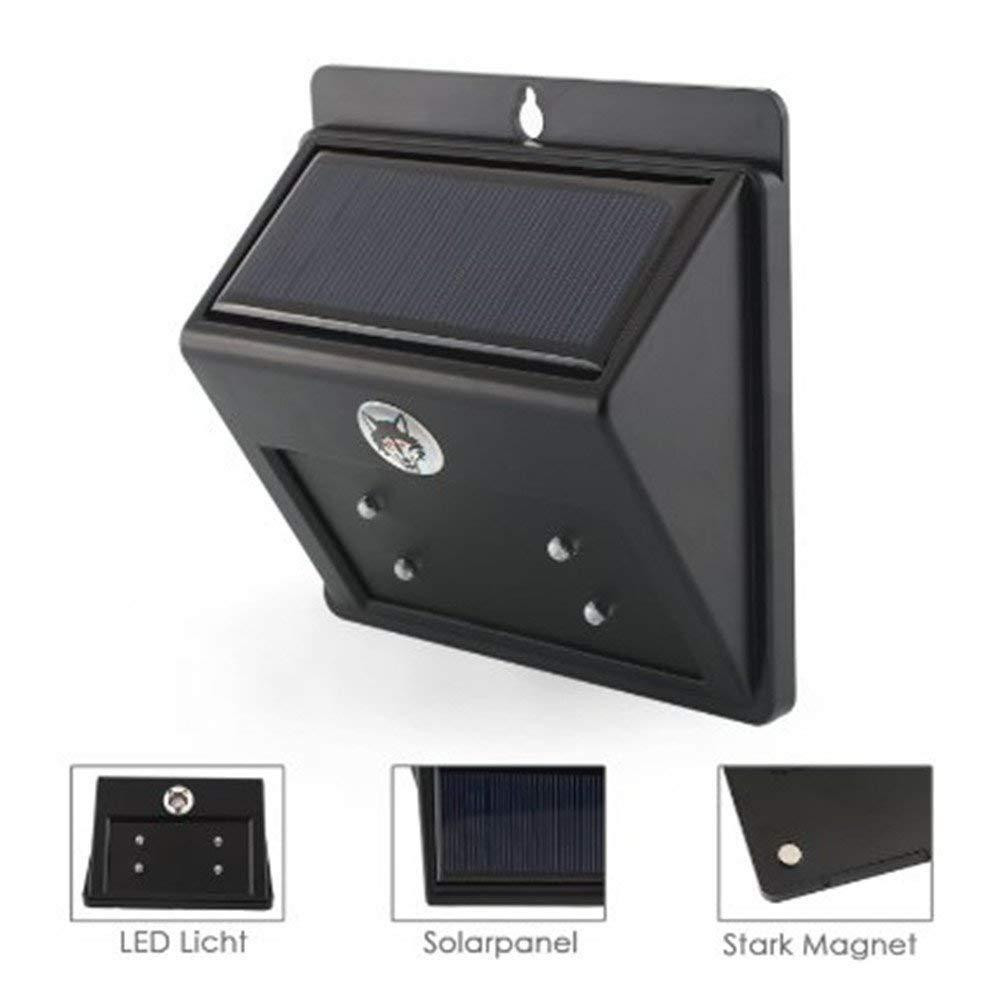 Отпугиватель животных и летучих мышей Ночная защита WL-30 Одесса - изображение 2