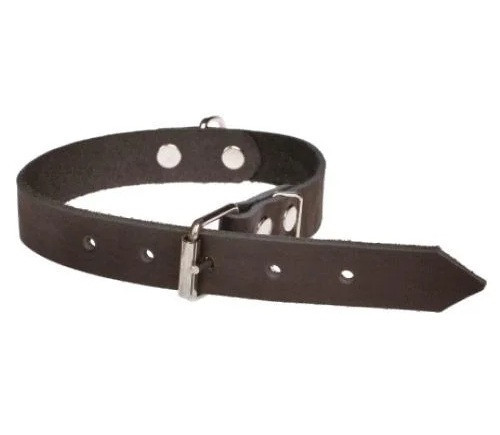 Ошейник 210 20мм "Эконом" кожа с 2-х частей Вінниця - фото 1