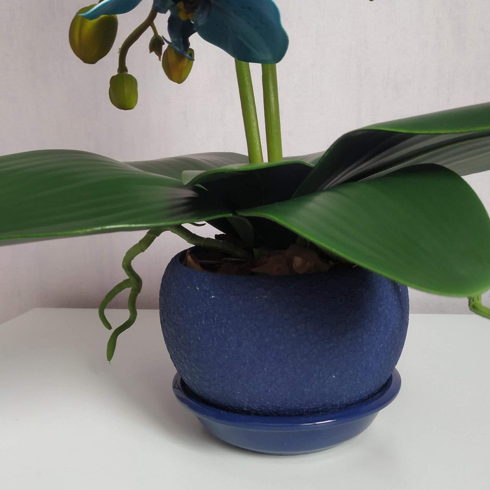 Штучна латексна орхідея VIP в синьому керамічному кашпо на дві гілки синя Дніпро - фото 2