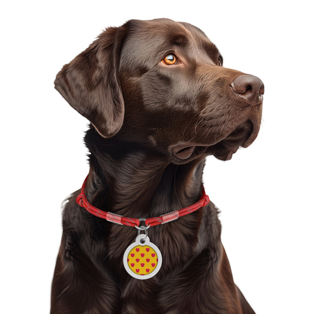 Шнурок для адресника з паракорду WAUDOG Smart ID, світловідбиваючий, розмір М, діаметр 4 мм, довжина 42-76 см червоний Київ - фото 1