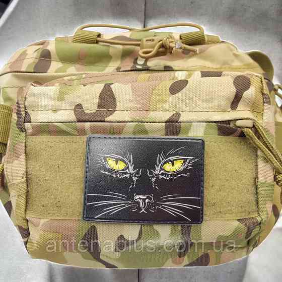 Котенок патч / шеврон Киев