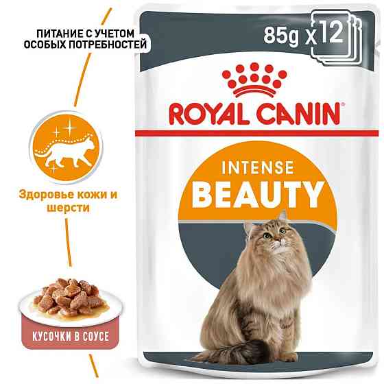 Royal Canin Intense Beauty Gravy (Роял Канін Інтенс Б'юті) вологий корм для кішок для шкіри та шерсті від 12 міс. 0.085 кг. х 12 шт. Запоріжжя