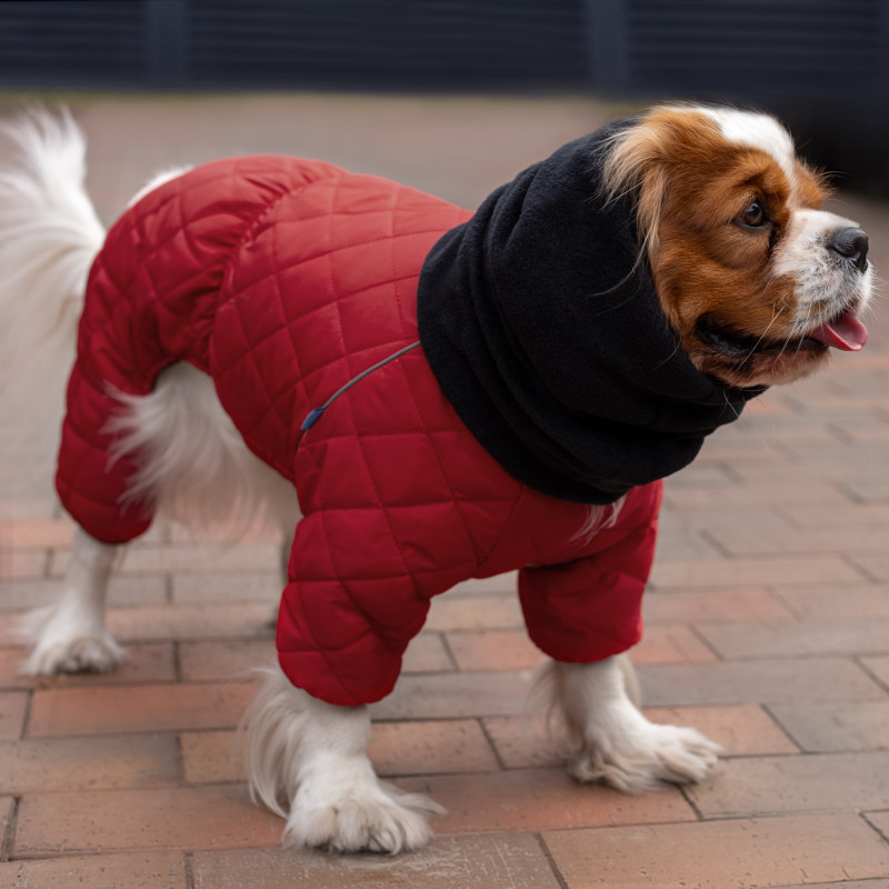 Зимовий комбінезон для собак теплий стьобаний на флісі Barksi Textile з хомутом Червоний Одеса - фото 9