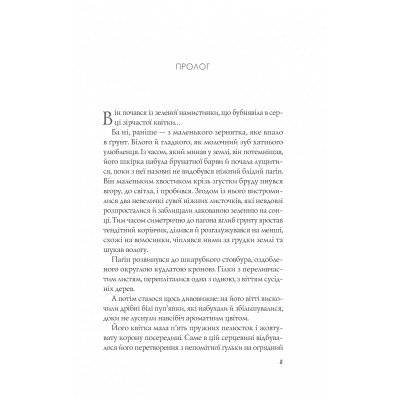 Книга Апельсин у калюжі - Людмила Баран Vivat (9786171704909) Вінниця - фото 9