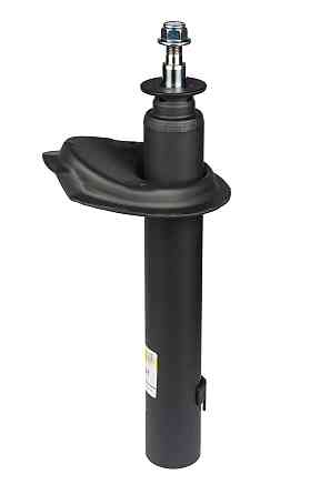 Амортизатор передній Raiso (Швеція) Peugeot 405 I, Пежо 405 87-93 #RS110897 UAIJNZC22 Ковель