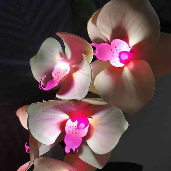 Світильник-нічник "Орхідея Натхнення" Дніпро