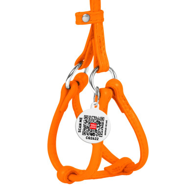 Шлея для собак WAUDOG Glamour з повідцем кругла Д 6 мм А 26-46 см В 30-50 см помаранчева (34014) Вінниця - фото 2