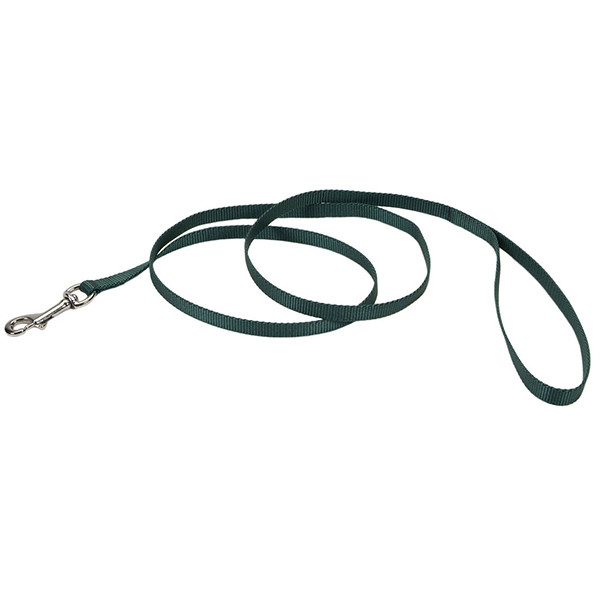 Coastal Nylon Leash КОСТАЛ НАЙЛОН поводок для собак, 1смХ1.2м Киев - изображение 1