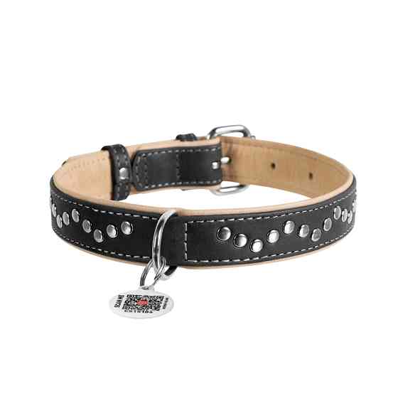 Нашийник для собак шкіряний WAUDOG Soft з QR паспортом, металічні прикраси, Ш 25 мм, Дов 38-49 Коломия