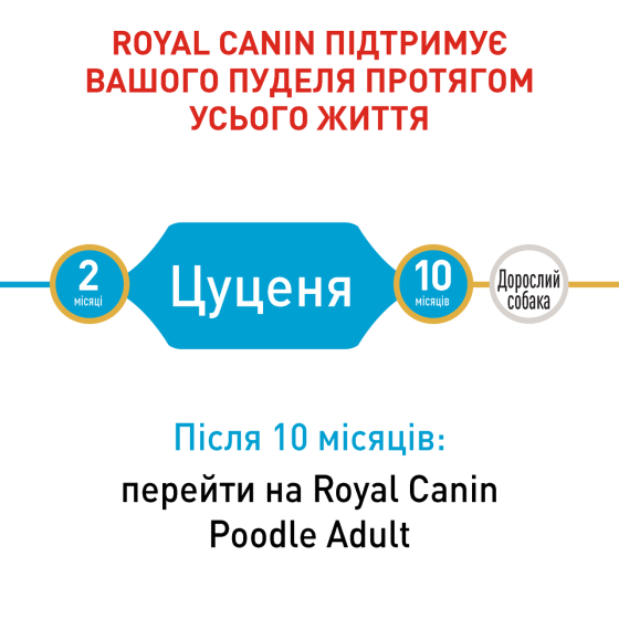 Корм для цуценят собак породи Пудель ROYAL CANIN PUPPY POODLE 0.5 кг Киев
