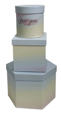 Подарункові коробки UFO Y004 Набір 3 шт Gradient mix (6990795) Київ