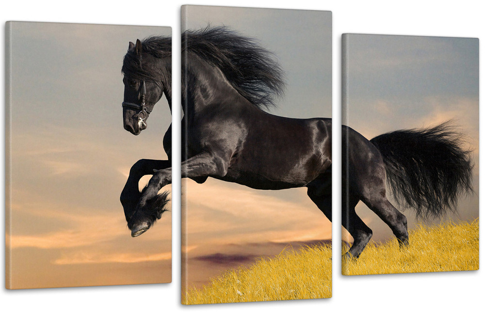 Модульная картина Лошадь Art-87_3 100x150 см Киев - изображение 1