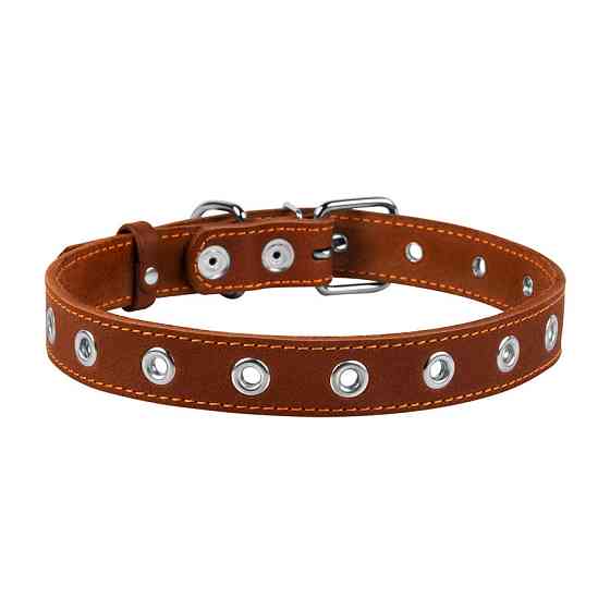 Нашийник "CoLLaR" безрозмірний (ширина 25мм, довжина 60см) коричневий Київ