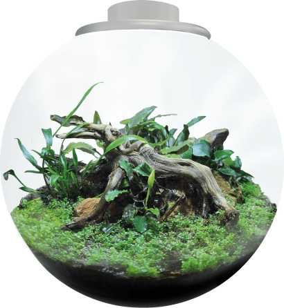 Акваріумний набір BIO ART BOWL 225 WHITE (A4056015) Київ