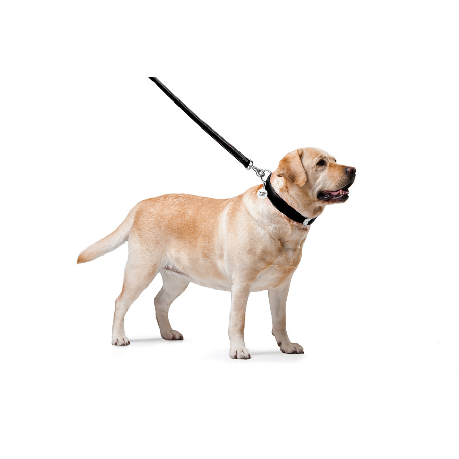 Повідець для собак шкіряний WAUDOG Glamour, Ш 25 мм, Дов 122 см чорний Коломия - фото 3